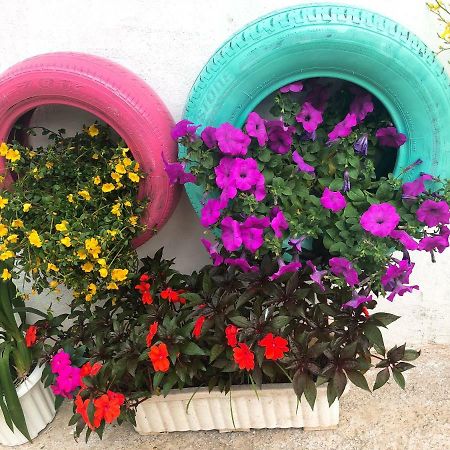 Thu Linh Homestay Da Lat Zewnętrze zdjęcie